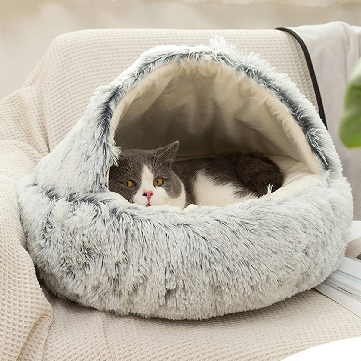 Plüschbett für Hunde und Katzen mit Halbhöhlen-Form -    Zorenza