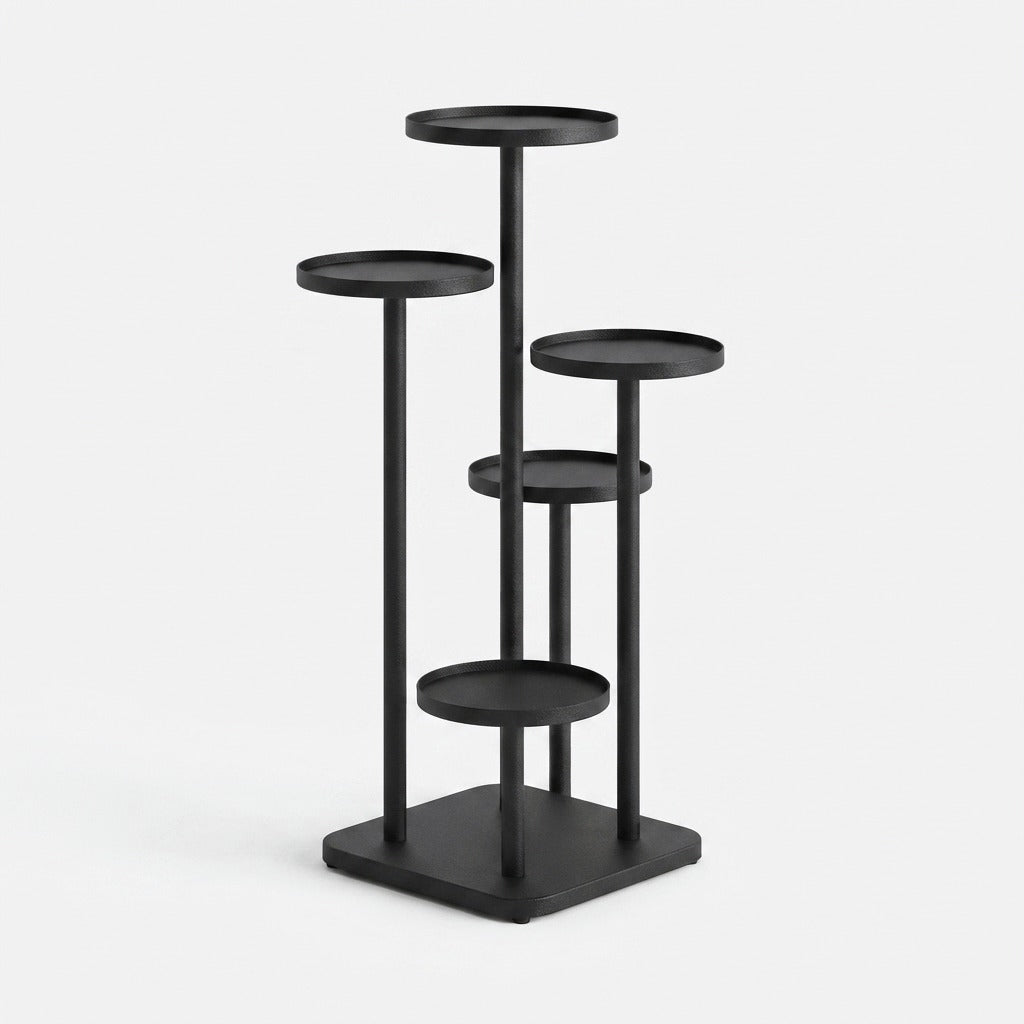 Studio collection image