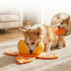 Interaktives Plüsch-Hundespielzeug mit Quietscher – Versteck-Puzzle für Leckerchen Zorenza