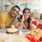 Interaktives Plüsch-Hundespielzeug mit Quietscher – Versteck-Puzzle für Leckerchen Zorenza