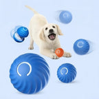 Interaktiver Hundeball mit Sensoren -    Zorenza