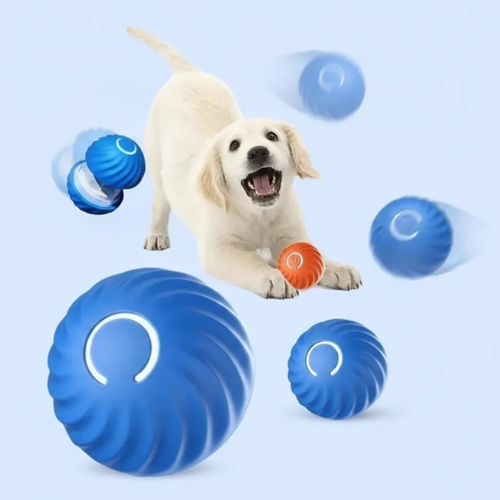 Interaktiver Hundeball mit Sensoren -    Zorenza