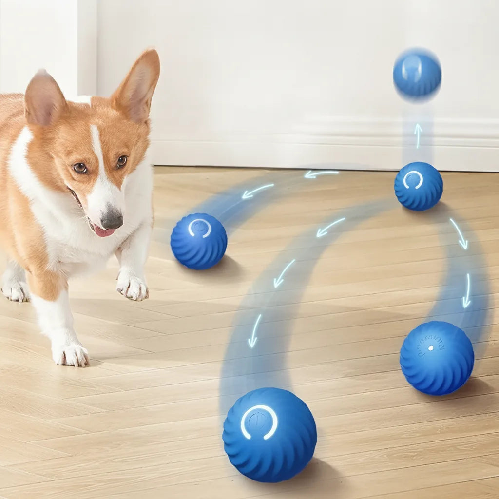 Interaktiver Hundeball mit Sensoren -    Zorenza