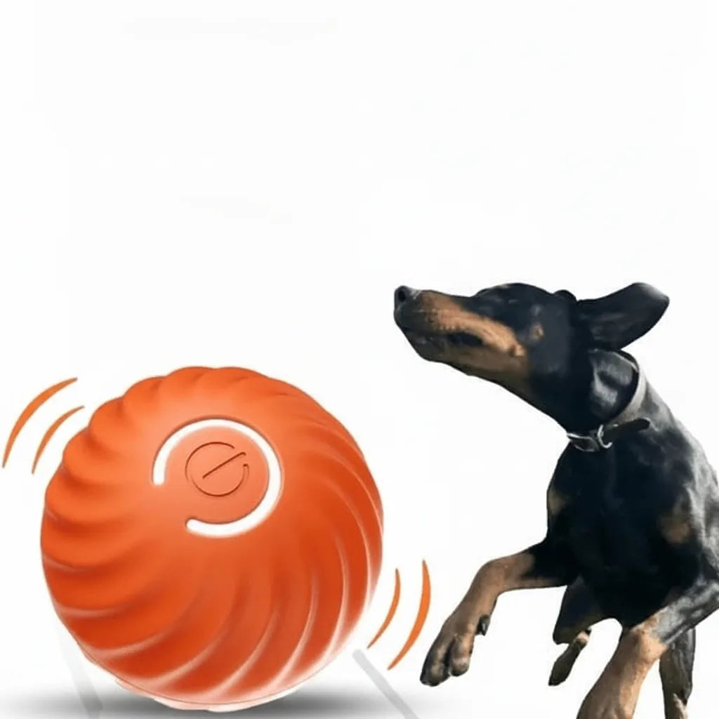 Interaktiver Hundeball mit Sensoren -    Zorenza