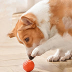 Interaktiver Hundeball mit Sensoren -    Zorenza