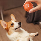 Interaktiver Hundeball mit Sensoren -    Zorenza