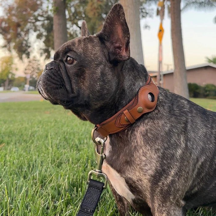 Hundehalsband mit AirTag-Halterung für GPS-Ortung -    Zorenza
