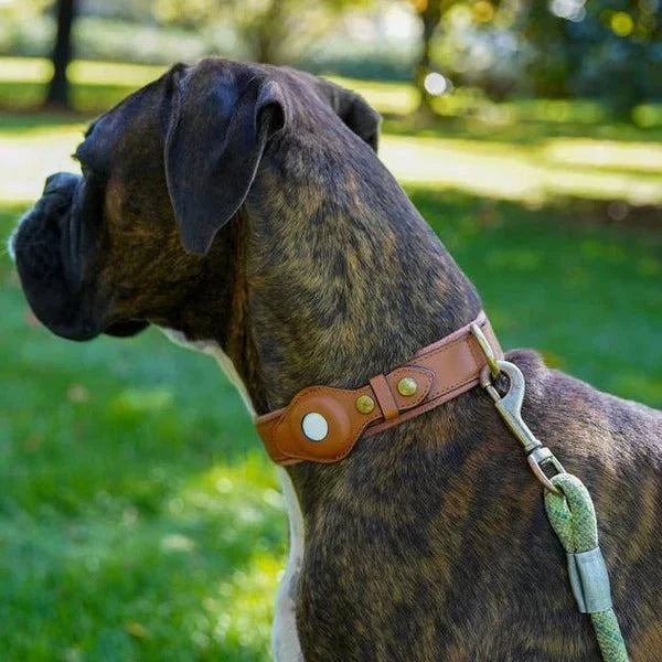 Hundehalsband mit AirTag-Halterung für GPS-Ortung -    Zorenza