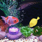Wasserdichte Pool-Beleuchtung mit Fernbedienung – 13 LEDs Zorenza