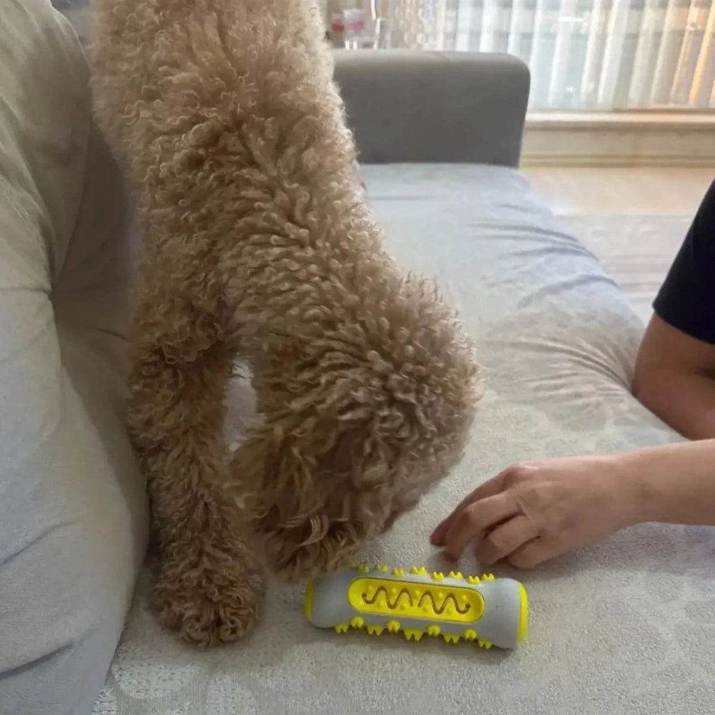 Beruhigungsspielzeug für Hunde mit Lavendel und Kamille -    Zorenza